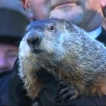 Groundhog Friday